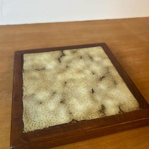 May include: Square wooden trivet with a light beige and brown speckled tile insert. The trivet has a dark brown wooden frame. The tile insert has a textured appearance and is surrounded by the wooden frame.