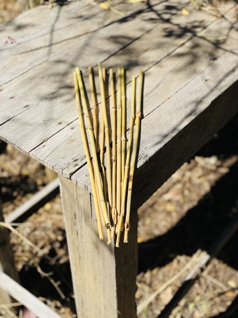 Natural Bamboo Thin Wood Strips, 10pcs Bamboo Plank Craft Material