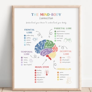 Póster de conexión cuerpo-mente, cerebro humano, impresión de anatomía del cerebro, póster de neurociencia, EMDR, TCC, decoración de consejero escolar, decoración de oficina de terapia