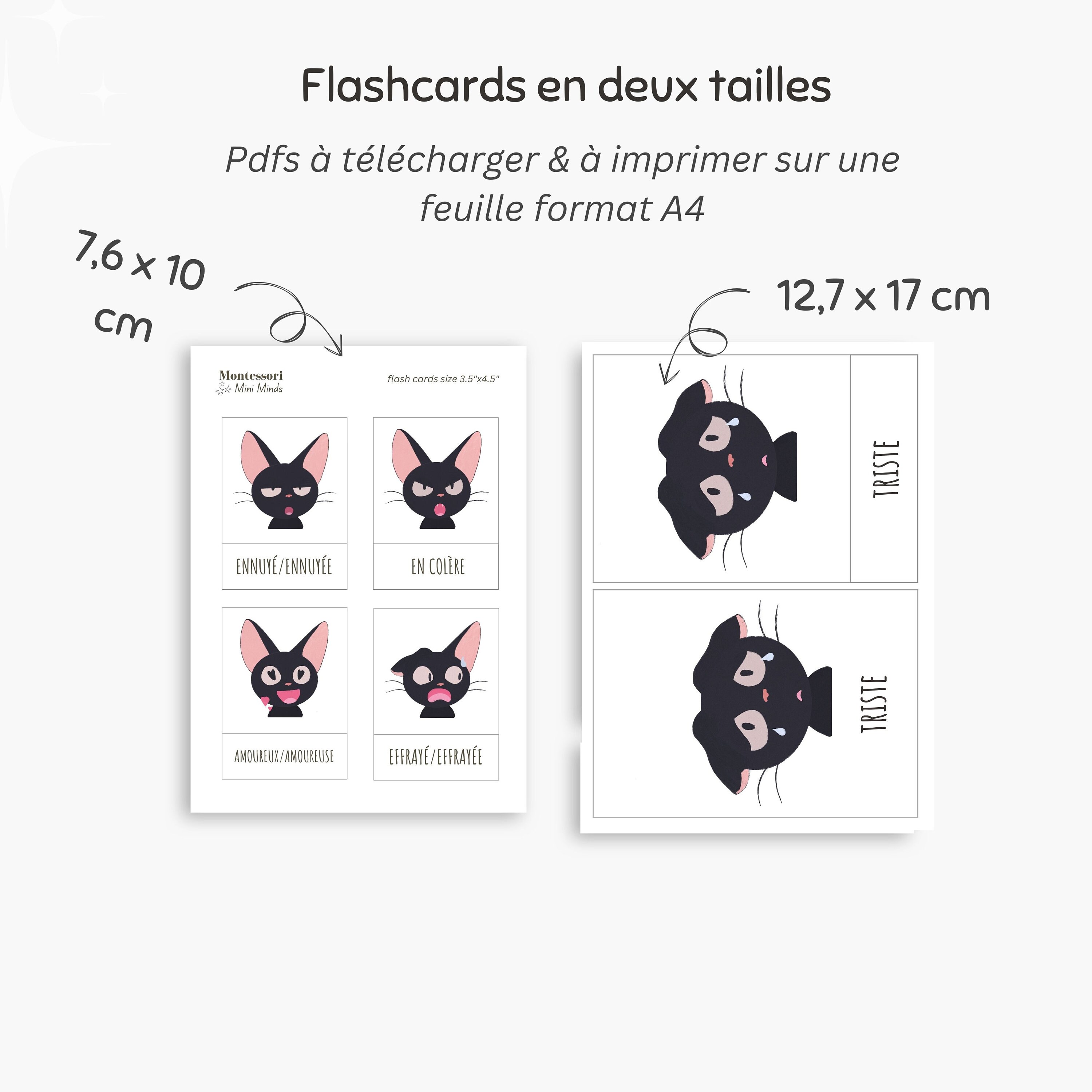French Emotions Flash Cards, Emotions Chartes, Feelings Flash Cards ...