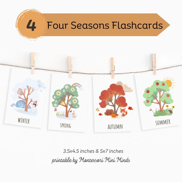 FOUR SEASONS Vocabulary, 4 Montessori Cards, Season Flash Cards Nomenclature, FlashCards PDF,Printable Cards Montessori, Seasons Preschool