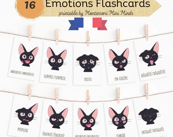 French Emotions Flash Cards, Emotions Chartes, Feelings Flash Cards Nomenclature, French Classroom, Cartes Montessori, Emotions maternelle