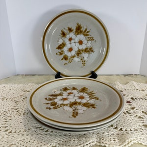 Vintage Set of 4 Stoneware Dinner Plates Moutain Wood Collection Dried Flowers Vintage 1970&#39;s, 10.5&quot; inches, Japan