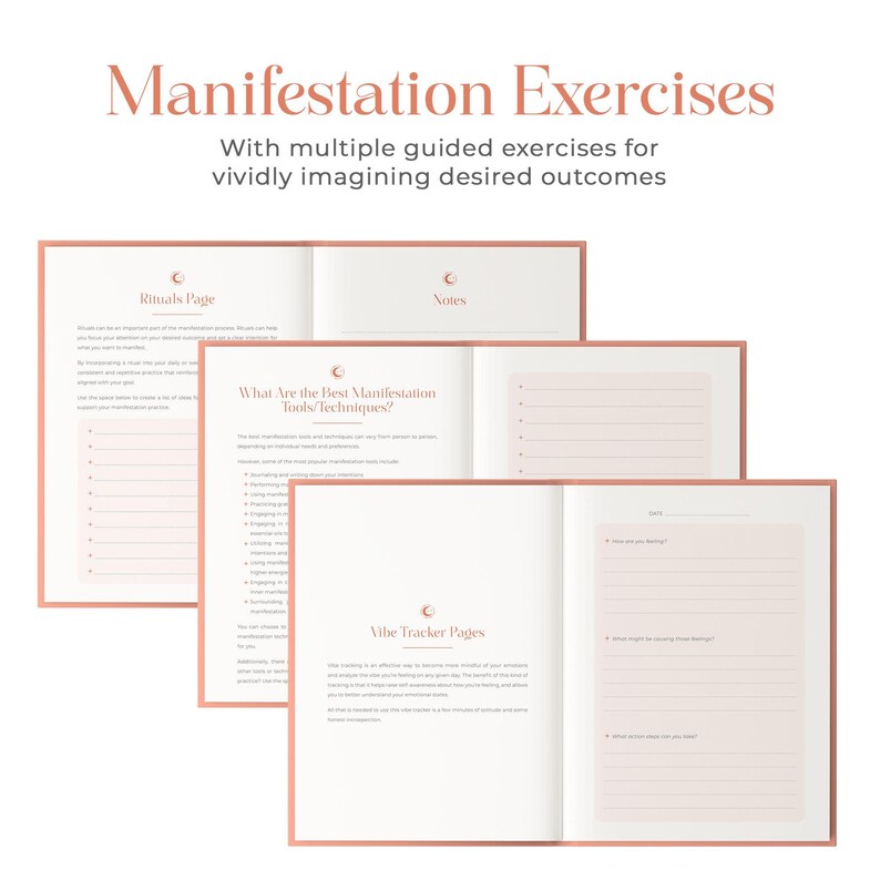 2027 Manifestation Journal Goal Setting Workbook Law of Attraction Present Dream Journal 369 Notebook Mindfulness Journaling Gift Reflection immagine 12
