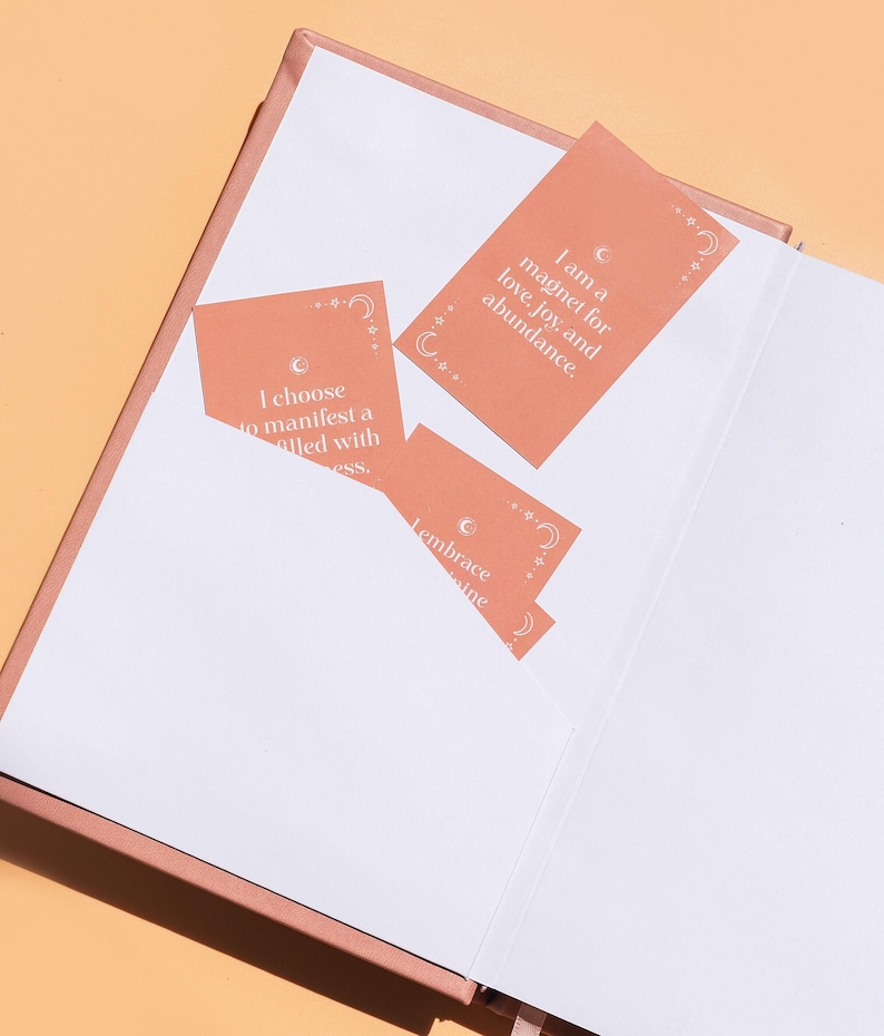 2027 Manifestation Journal Goal Setting Workbook Law of Attraction Present Dream Journal 369 Notebook Mindfulness Journaling Gift Reflection immagine 8