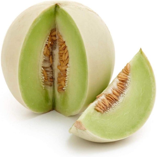 Honeydew Green Flesh Melon seeds, Heirloom Seeds - Fruit Seeds, Organic Non GMO, Open Pollinated 25