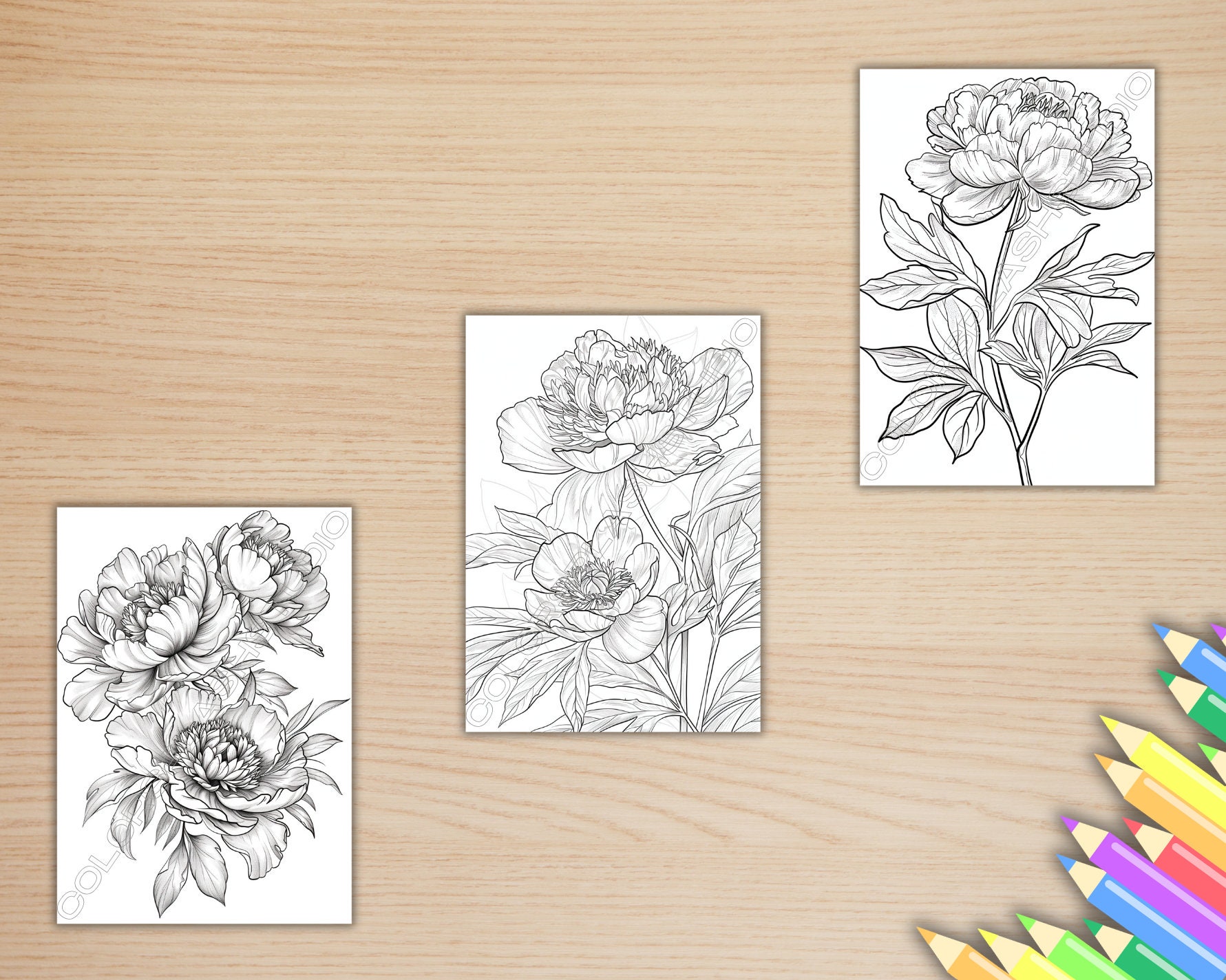 20 Beautiful Peony Flowers Coloring Pages for Kids and Adults, Flower ...