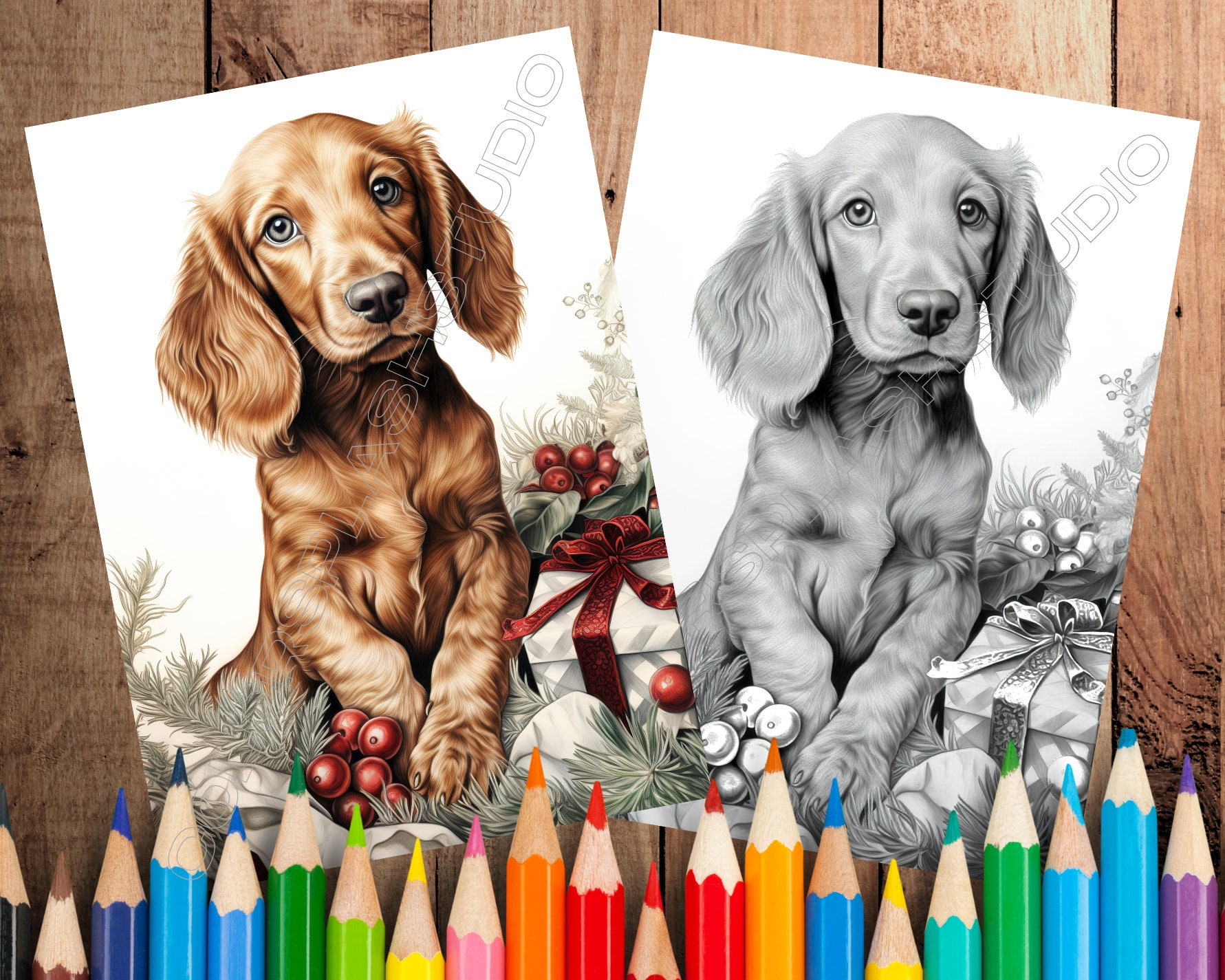 12 Cute Christmas Dogs Coloring Pages Set 01 Printable Coloring Pages