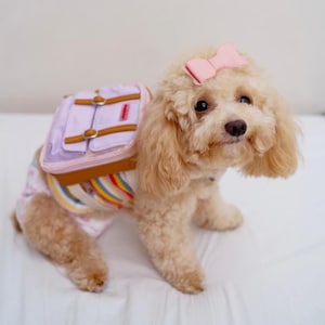 Ruffsack Handmade Dog Backpack with Harness – Dale in Pink