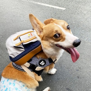 Ruffsack Handmade Dog Backpack with Harness – Dale in Navy