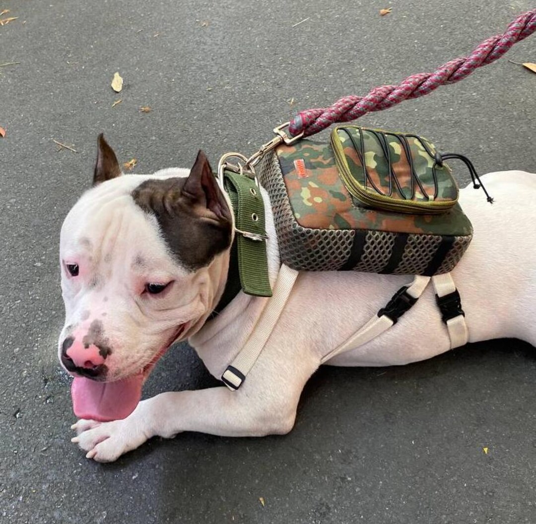 Mochila para perros hecha a mano con arnés – Scout España