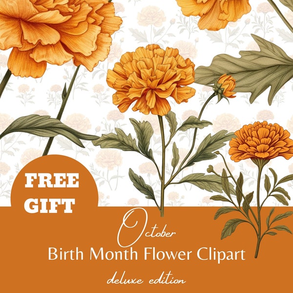 BirthFlower clipart | October Watercolour Custom Botanical Wild Birth Month Flower Marigold PNG Graphics Floral Set Personalised Clipart