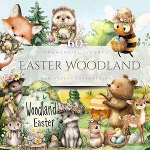 Paquete de imágenes prediseñadas de animales del bosque Colección de osos y zorros PNG Descarga digital de animales del bosque Diseño de Pascua Arte natural Estilo acuarela Criaturas