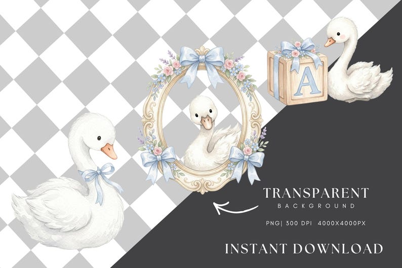 Baby Swan Clipart Nursery Animals PNG Baby Shower Invitation Design ...