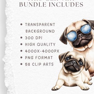 May include: A digital illustration of two pugs. The pug on the top is wearing blue sunglasses. The pugs are drawn in a watercolor style. The text "THIS CLIP ART BUNDLE INCLUDES" is at the top of the image. The text "TRANSPARENT BACKGROUND, 300 DPI, HIGH QUALITY, 4000X-4000PX, PNG FORMAT, 58 CLIP ARTS" is listed below the pugs. The text "Satisfaction Guaranteed" is at the bottom of the image.