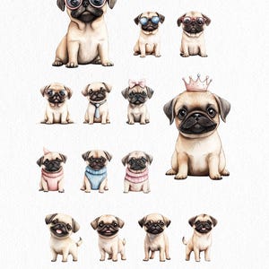 May include: A set of 12 digital illustrations of pugs in various poses and outfits. The pugs are wearing sunglasses, bow ties, sweaters, and a crown. The text "Choose your favourite..." is at the bottom of the image.