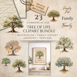 Tree of Life Clipart Bundle Watercolor Family Tree PNG Oak Tree Roots Ancestry Genealogy Heritage Design