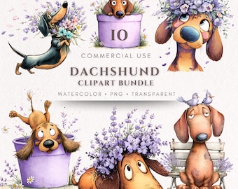 Funny Dachshund Watercolor Clipart PNG Bundle for Sublimation & Card Making, Floral Dog Commercial Use Printable Art