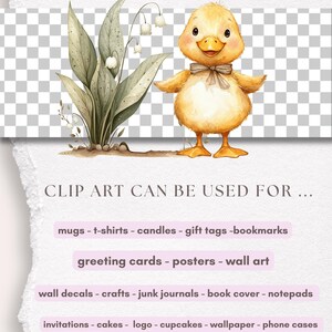 May include: A digital illustration of a yellow duckling standing in front of a green plant with white flowers. The text "TRANSPARENT" is at the top of the image. The text "CLIP ART CAN BE USED FOR..." is at the bottom of the image. Below the text are several lines of text listing different uses for the clipart, including mugs, t-shirts, candles, gift tags, bookmarks, greeting cards, posters, wall art, wall decals, crafts, junk journals, book covers, notepads, invitations, cakes, logos, cupcakes, wallpaper, phone cases, blankets, pillows, and more.