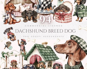 Watercolor Dachshund Clipart: 94 PNG Illustrations (Digital Download)