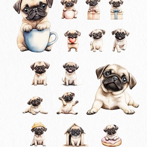 May include: A collection of 15 watercolor illustrations of pugs in various poses and settings. The pugs are depicted in a cute and playful style, with some wearing hats, holding hearts, or sitting in cups. The illustrations are perfect for use in digital or printed projects.