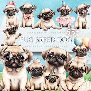 May include: A set of 10 watercolor illustrations of pugs in various poses, including wearing a party hat, a birthday dress, and a witch's hat. The illustrations are on a light blue background with the text "COMMERCIAL LICENCE 55+ PUG BREED DOG PNG 300DPI 4000x4000PX".