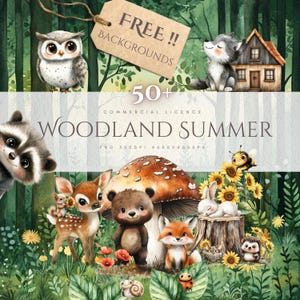Clipart animaux des bois aquarelle pépinière forêt mignon bébé PNG bricolage Invitation babyshower téléchargement numérique cerf ours renard raton laveur