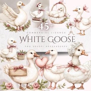 Dummer Gans Clipart Frühling Aquarell Wand Kunst Gans Druck DIY Geschenke Idee Kommerzieller Gebrauch Digitaler Download Babyparty Karte, der PNG-Bilder