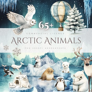 May include: Watercolor illustration featuring arctic animals, including an owl, polar bears, a penguin, and a reindeer. The image includes the text "Arctic Animals" and "65+" with a commercial license.