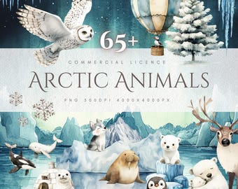Arctic Animals Clipart PNG Watercolor Polar Animals Winter Nursery Classroom Decor Card Making Scrapbooking Printable DIY Crafts Commercial