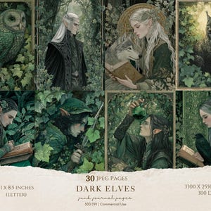 Può includere: Stampa d'arte digitale con otto pannelli di elfi oscuri in un ambiente forestale. Ogni pannello raffigura un elfo con un animale o un oggetto, come un gufo, un lupo o un libro. Il testo "DARK ELVES" è visualizzato al centro.