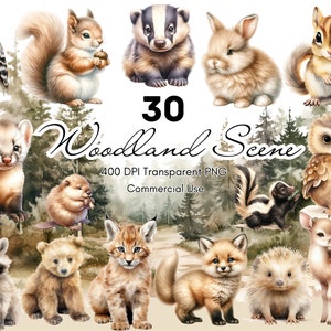 Animais da floresta em aquarela, clipart, clipart de berçário, adesivo digital, PNG, sublimação, diário de sucata, álbum de recortes, uso comercial