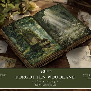 Puede incluir: Un libro abierto con ilustraciones detalladas de una escena del bosque. Las páginas muestran un bosque con una estructura de piedra, musgo y árboles. El libro se titula "FORGOTTEN WOODLAND" y mide 21 x 29,7 cm.