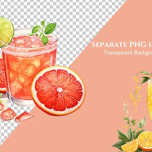 May include: Watercolor illustration of a cocktail with grapefruit slices, lime, and mint. The drink is in a clear glass with ice cubes. The image also includes a second cocktail in a tall glass with orange slices and text that reads "SEPARATE PNG IMAGES Transparent Background."