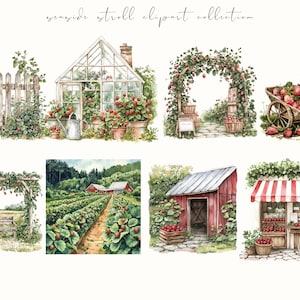 Watercolor strawberry harvest clipart featuring spring and summer cottagecore elements. Perfect for digital stickers, planners, and junk journal projects with a fresh, botanical feel.