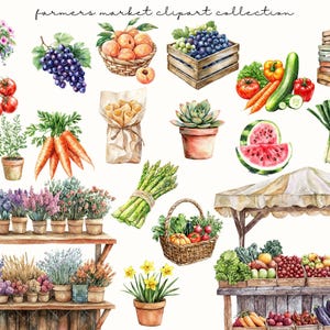 May include: Watercolour illustration of a farmer's market with various produce and flowers. Includes grapes, peaches, tomatoes, carrots, asparagus, and a variety of flowers in pots. A market stall is filled with fruits and vegetables.