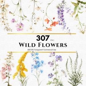 Clipart de flores silvestres em aquarela, flores botânicas, conjunto de clipart floral, arranjo floral, flor PNG, flores silvestres PNG, uso comercial
