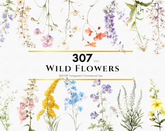 Watercolor Wild Flower Clipart, Botanical Flowers, Floral Clip Art Set, Floral Arrangement, Flower PNG, Wildflowers PNG, Commercial Use