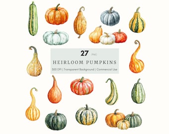 Pumpkin Autumn Clipart, Watercolor Gourds, Autumn Harvest Pumpkins PNG, Thanksgiving Decor, Fall Graphics, Fall Illustration, Halloween