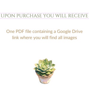 May include: A text graphic with the words "UPON PURCHASE YOU WILL RECEIVE" in a purple box. Below the text is a description that reads "One PDF file containing a Google Drive link where you will find all images". A potted succulent plant is in the bottom right corner of the image.