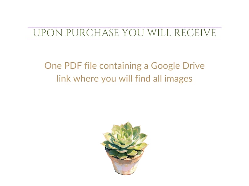 May include: A text graphic with the words "UPON PURCHASE YOU WILL RECEIVE" in a purple box. Below the text is a description that reads "One PDF file containing a Google Drive link where you will find all images". A potted succulent plant is in the bottom right corner of the image.