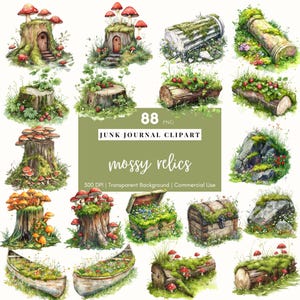 Aquarelle mousse Clipart champignon bûche PNG champignon vénéneux Cottagecore fleurs sauvages ordure journal frontière botanique éphémères souche d'arbre forêt Scrapbook