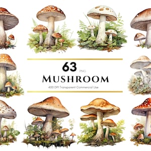 Clipart champignon, champignon aquarelle, champignon vénéneux aquarelle, sublimation de champignon, PNG de champignon, silhouette de champignon, usage Commercial