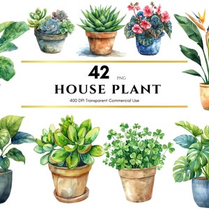 Acuarela: Planta de interior, follaje, hoja de monstera, planta en maceta, cactus, vegetación, descarga digital PNG, sublimación, imprimible, uso comercial