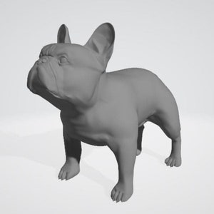 Könnte beinhalten: Ein graues 3D-Modell eines französischen Bulldoggen, der mit dem Kopf nach oben geneigt steht. Das Modell ist detailliert und realistisch und fängt die charakteristischen Merkmale der Rasse ein.