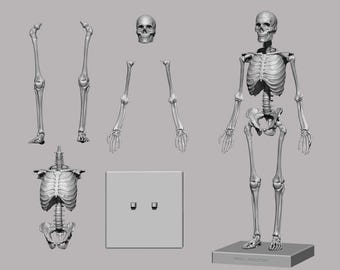 スケルトン STL 3D プリントファイル