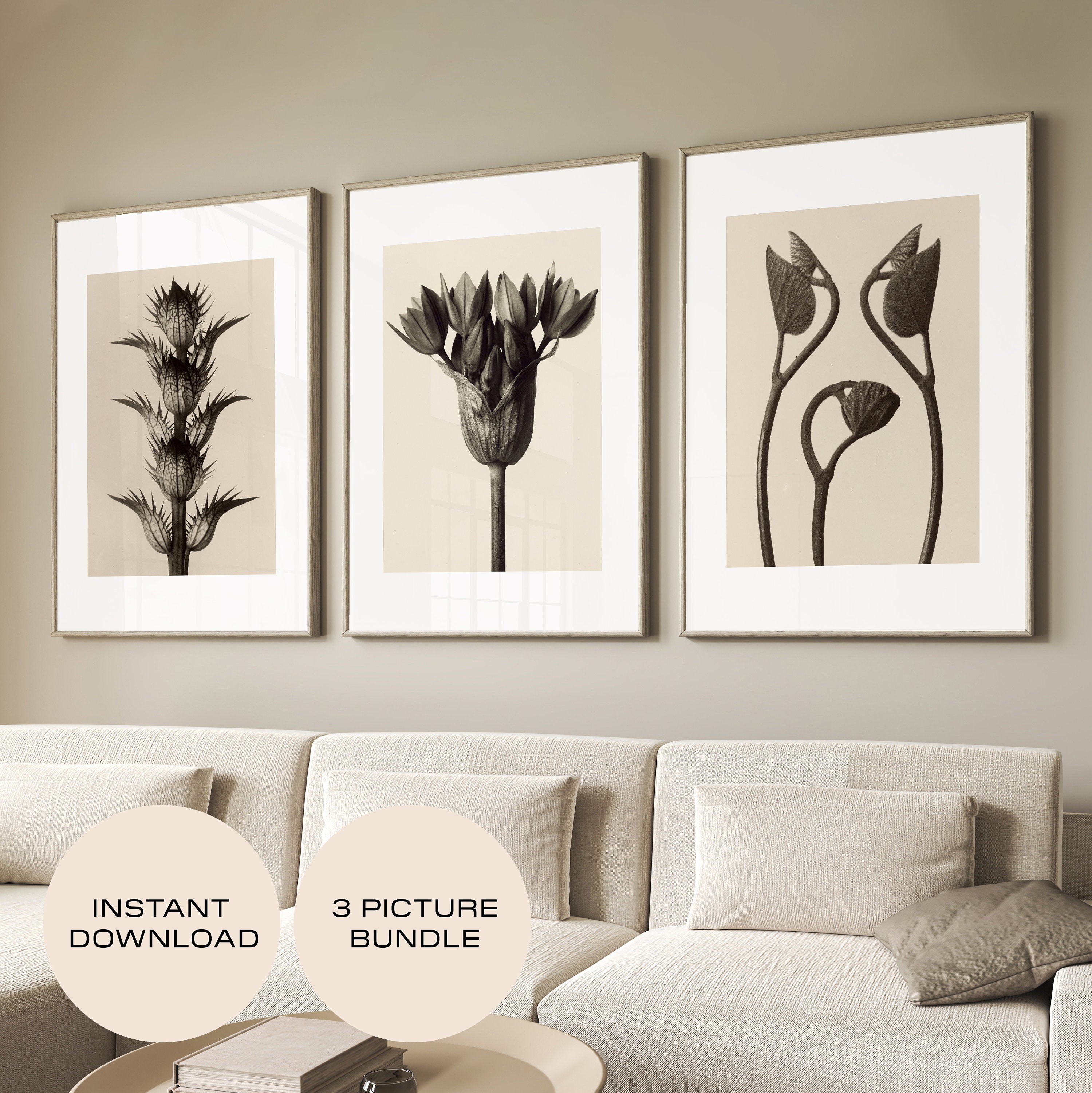 Karl blossfeldt - Etsy 日本