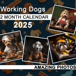 Working Dogs 2025 Calendar