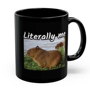 Zen Capybara Mug, Literally Me Mug, Capybara Meme Mug, Sleeping Capybara Gift Mug, Funny Animal Mug, Cute Capybara Cup, Calming
