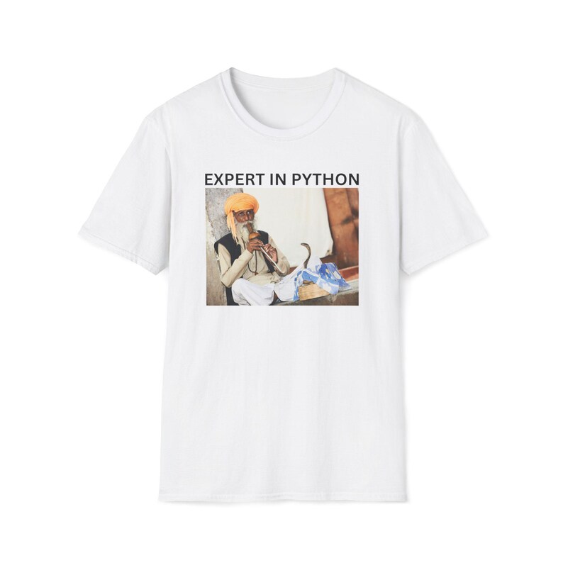 Experte für Python-Shirt, Python-Programmierer-Shirt, Software-Entwickler-Shirt, Ingenieur-Geschenk, Daten-Wissenschaftler-Shirt, KI-Forscher, analytiker-Shirt Bild 2